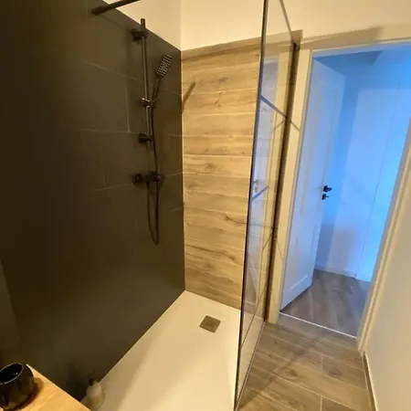 Doinei Cozy Flat * 蒂米什瓦拉