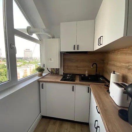 Doinei Cozy Flat * Timisoara