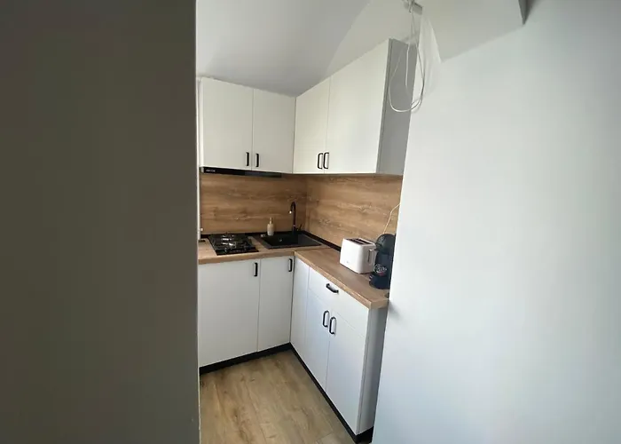 Lägenhet Doinei Cozy Flat Timişoara