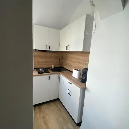 Apartment Doinei Cozy Flat Timişoara